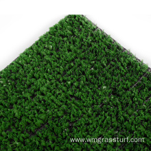 Carpet Grass Price for Golf